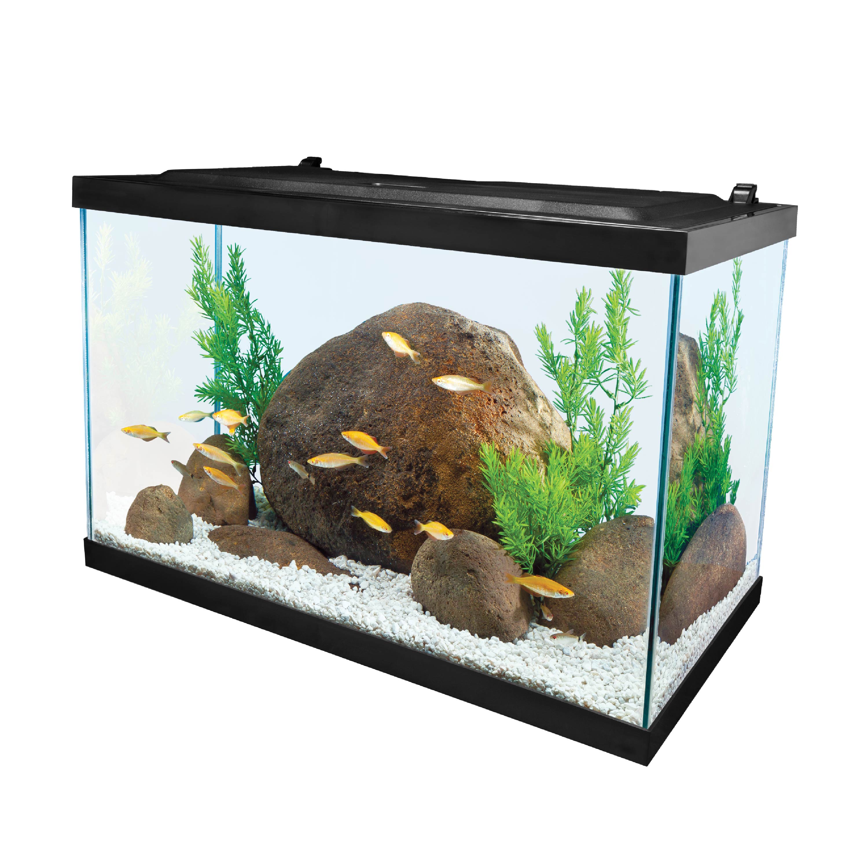 Tetra 20 gallon tank top